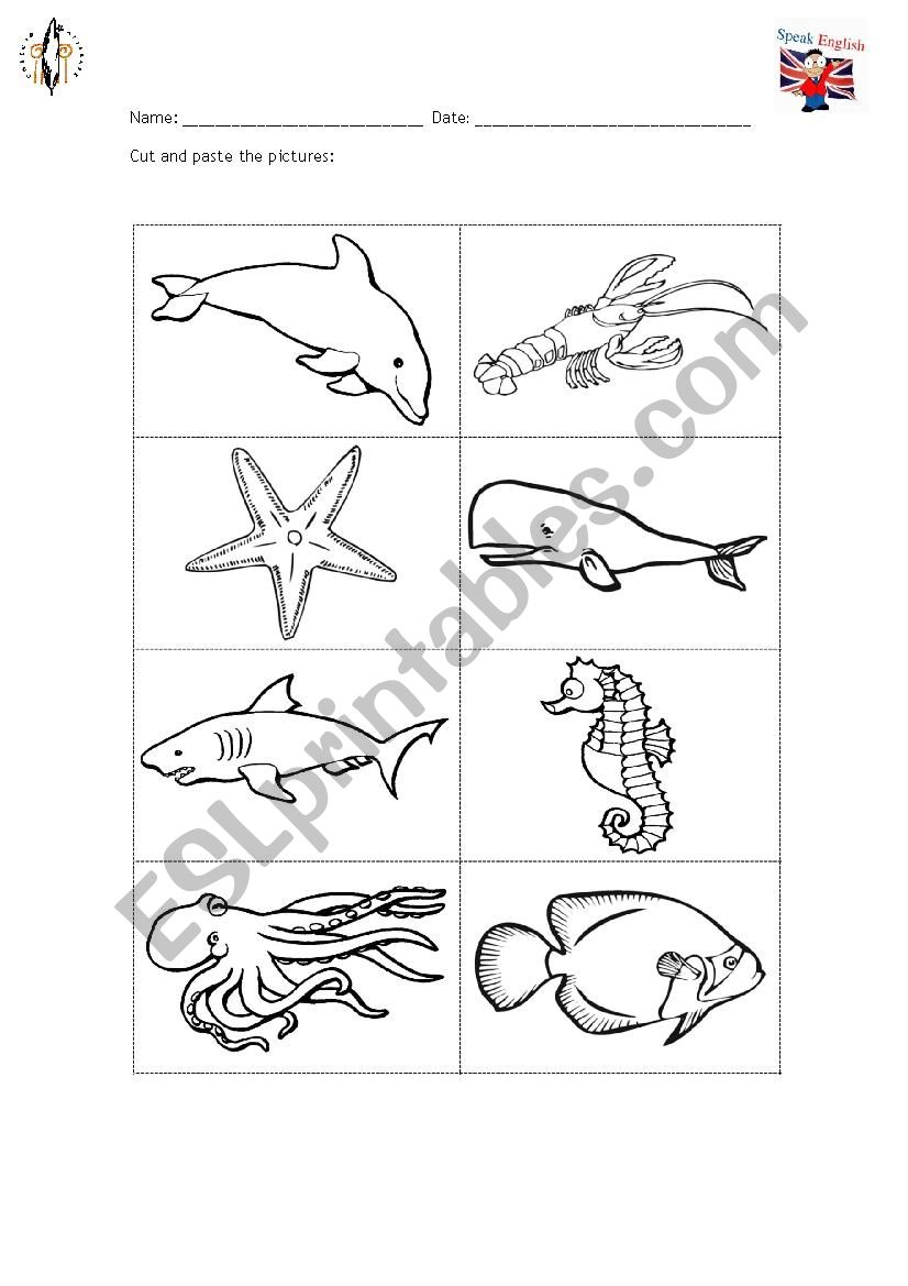 Sea animals worksheet