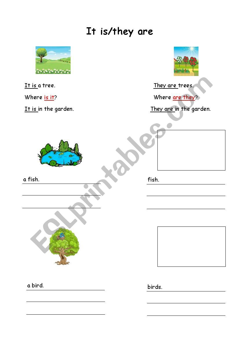 Singular and plural worksheet