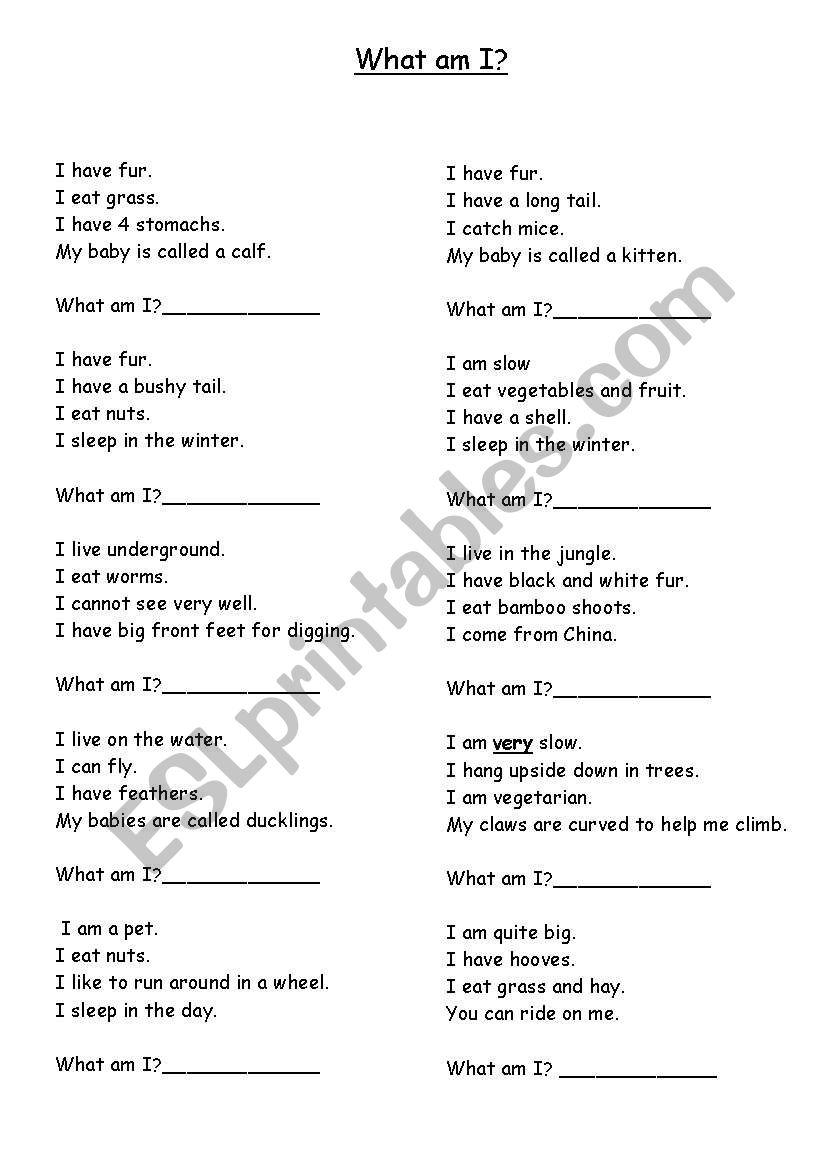 What am I? worksheet