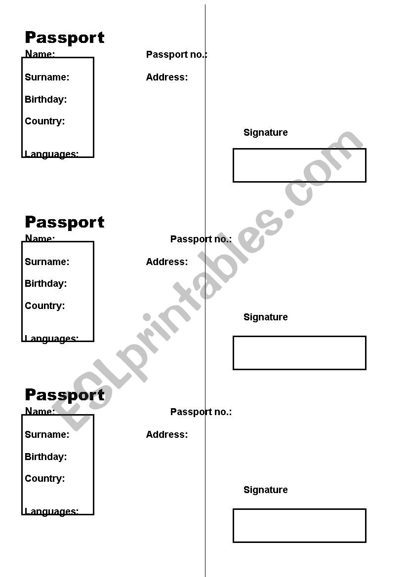 Passport Identity Game worksheet