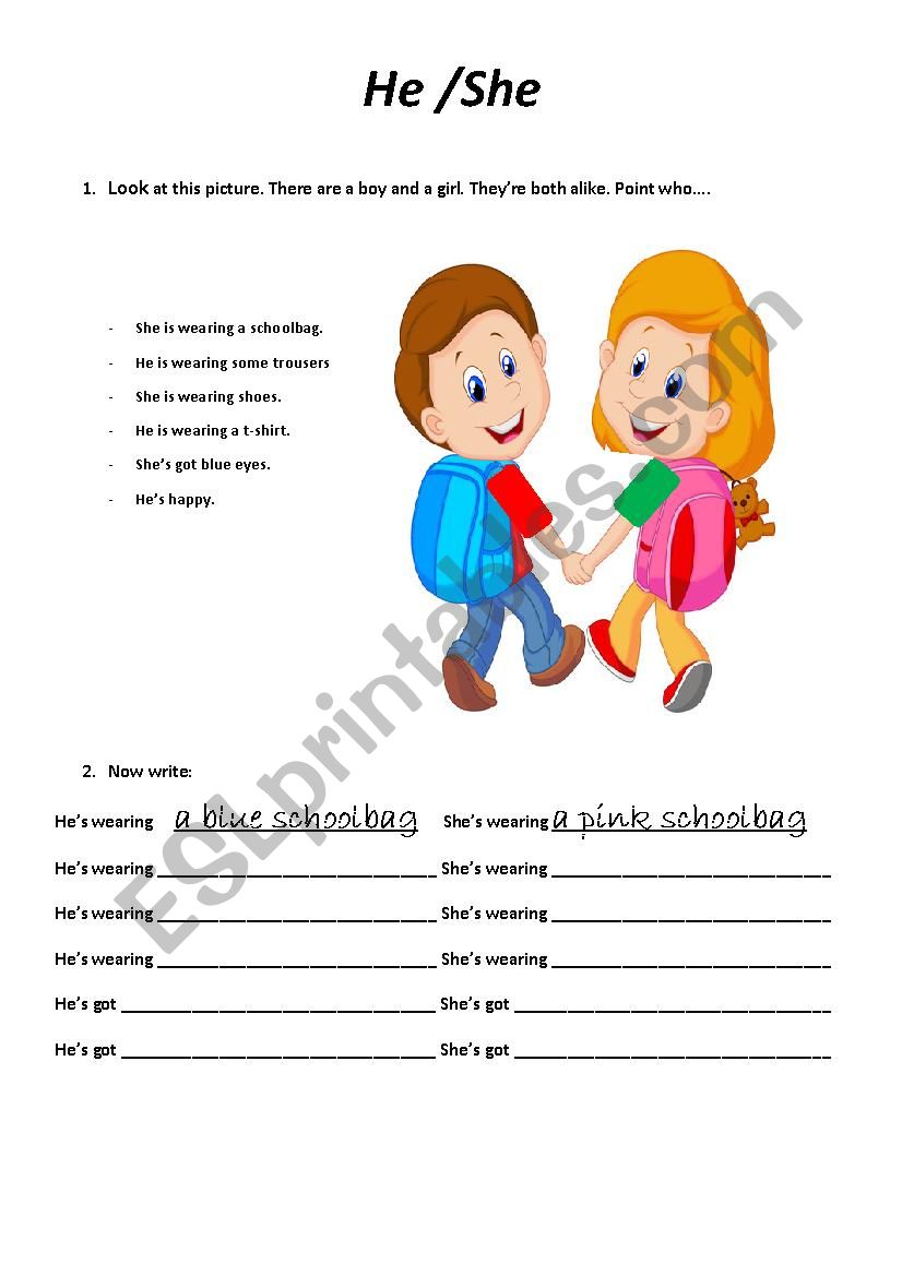 he and she worksheet