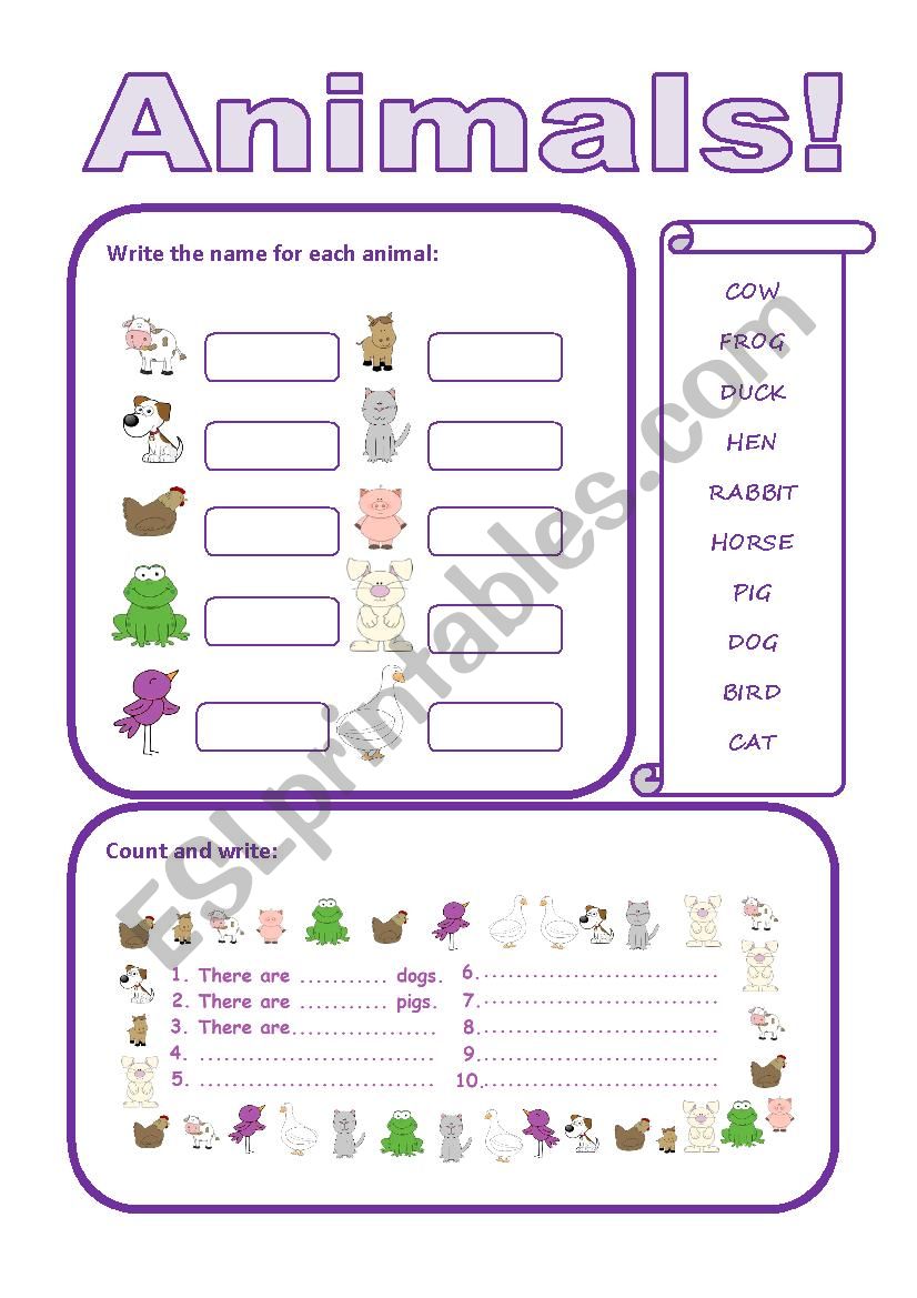 Animals worksheet