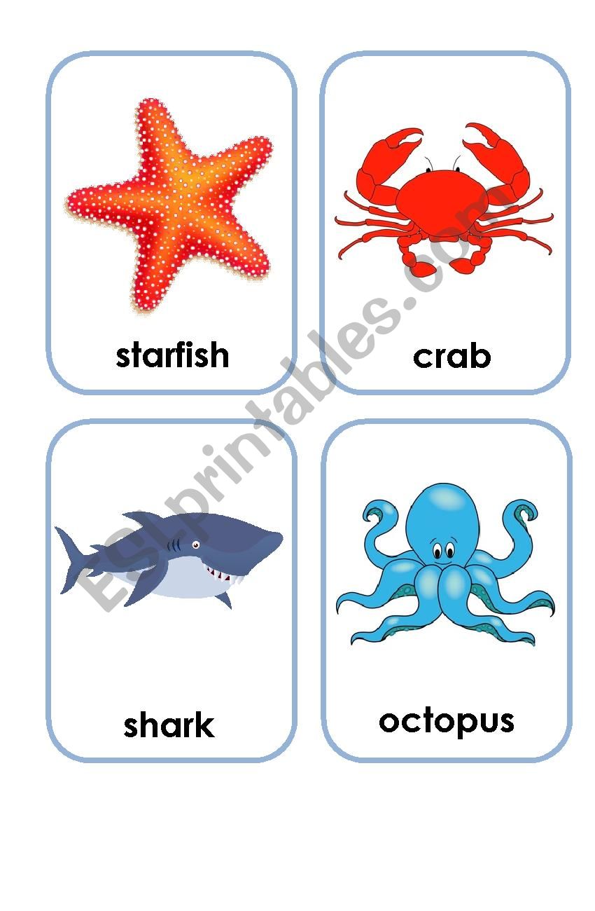 flashcards sea creatures worksheet