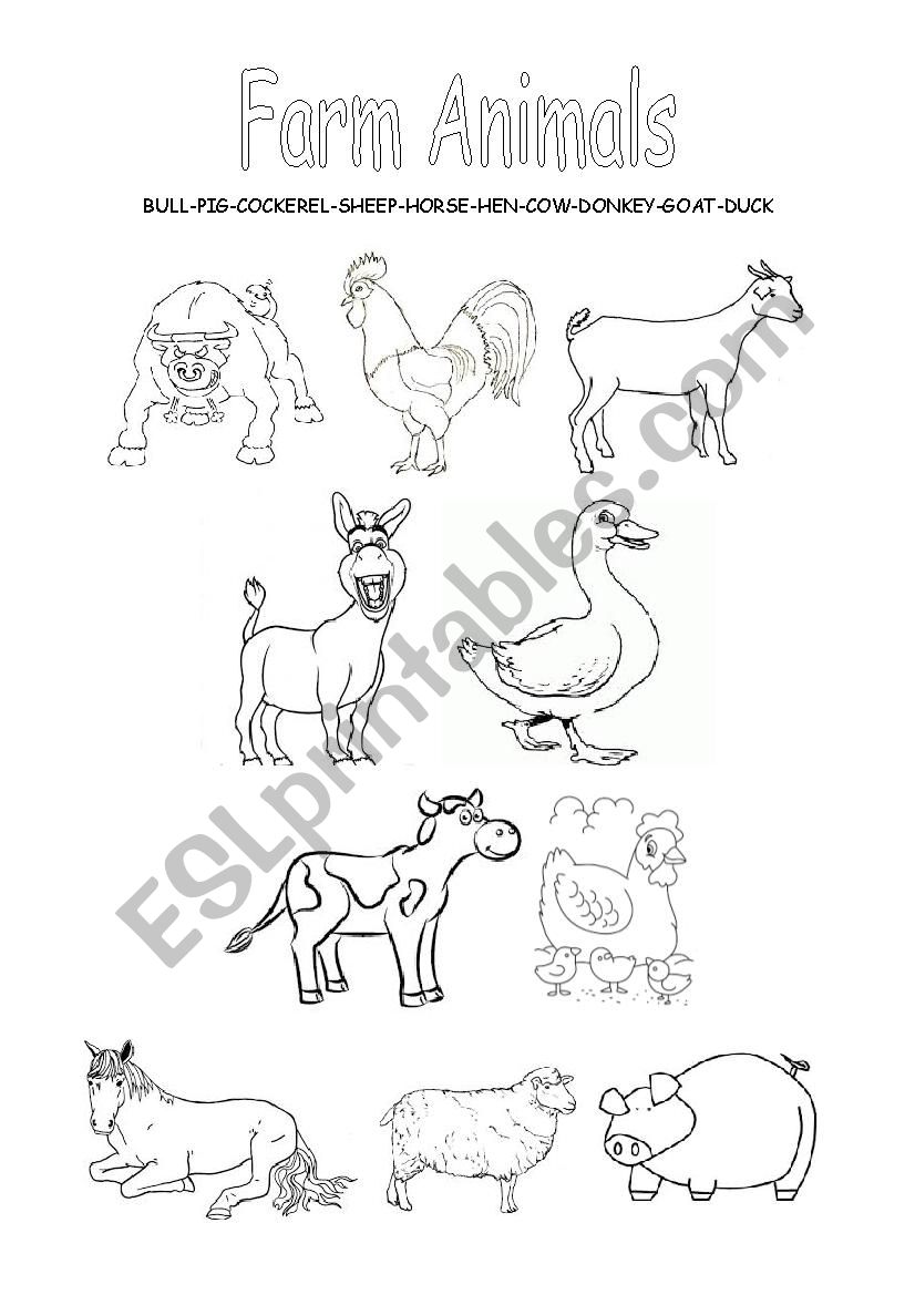 Farm animals worksheet