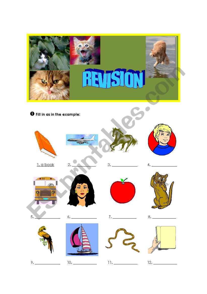 Revisions worksheet