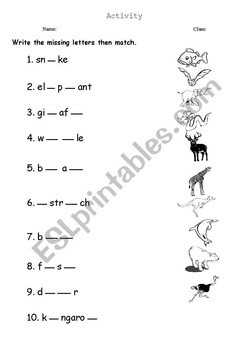 animals names worksheet