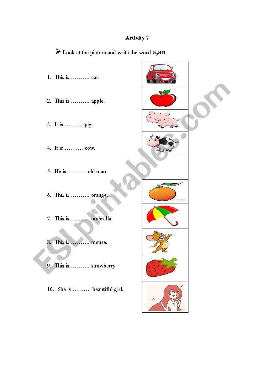 Aticle a,an worksheet