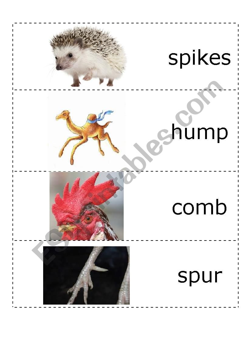 animals body parts 2 worksheet
