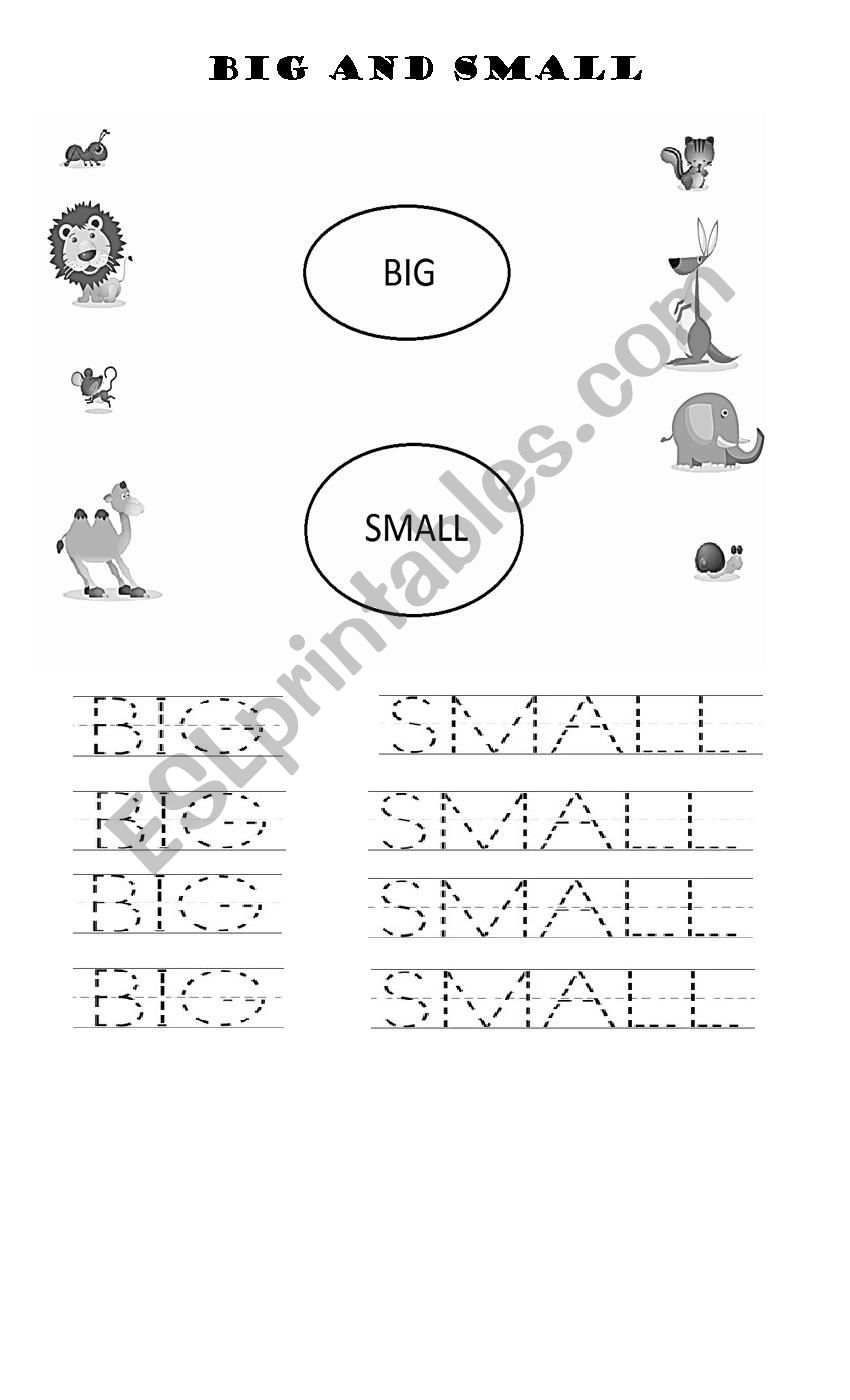 BIG AND SMALL worksheet