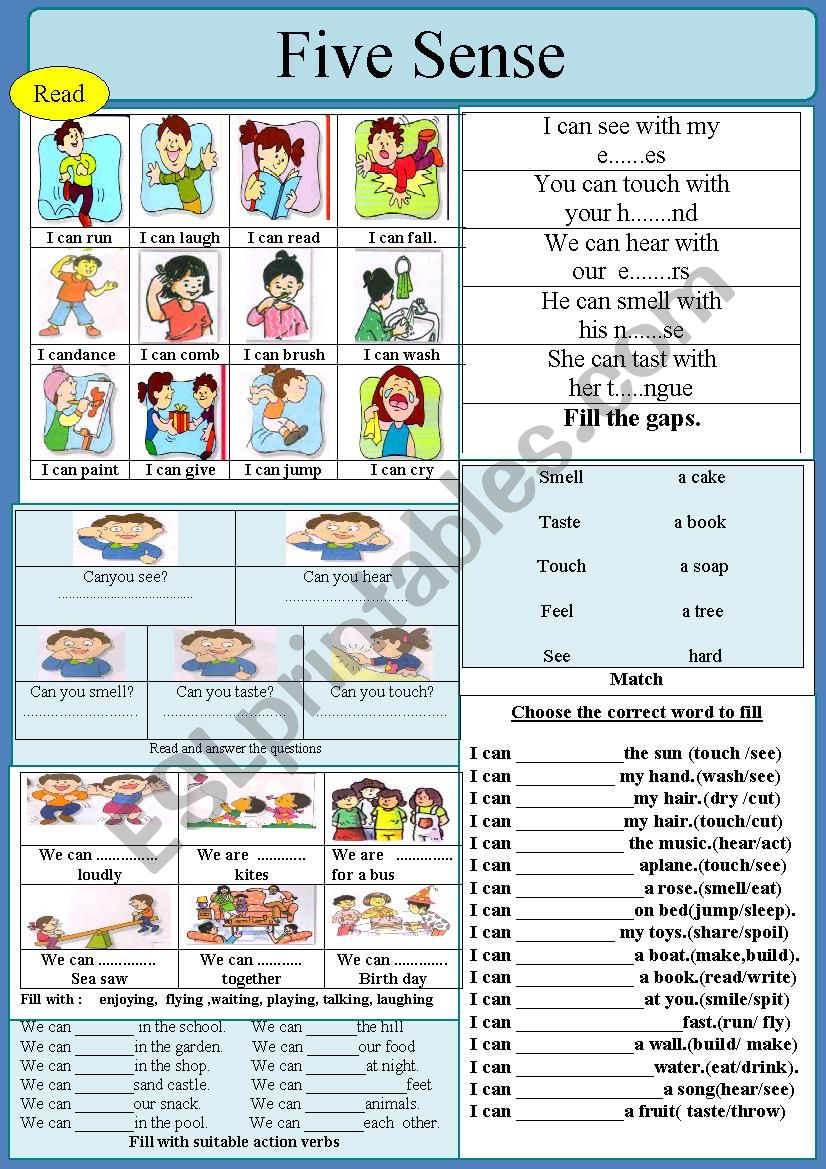 Five Senses worksheet