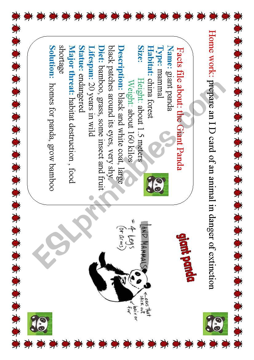 panda worksheet