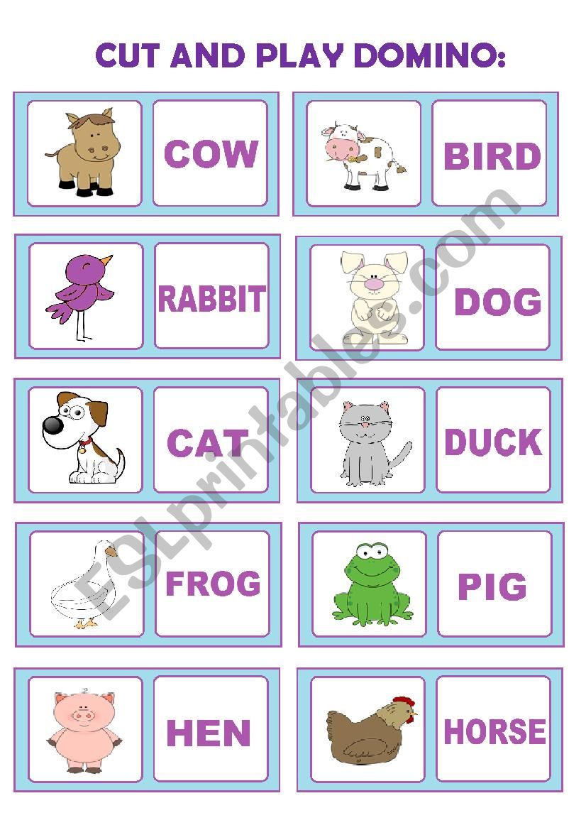 Domino (animals) worksheet