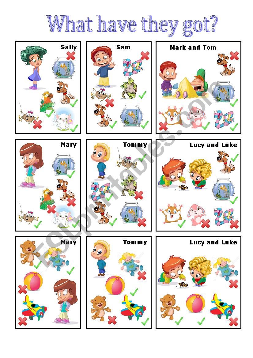 What have they got? worksheet