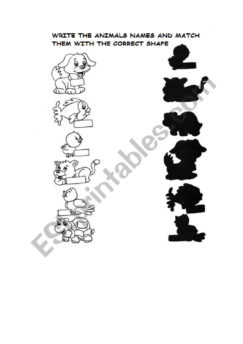 Animals worksheet