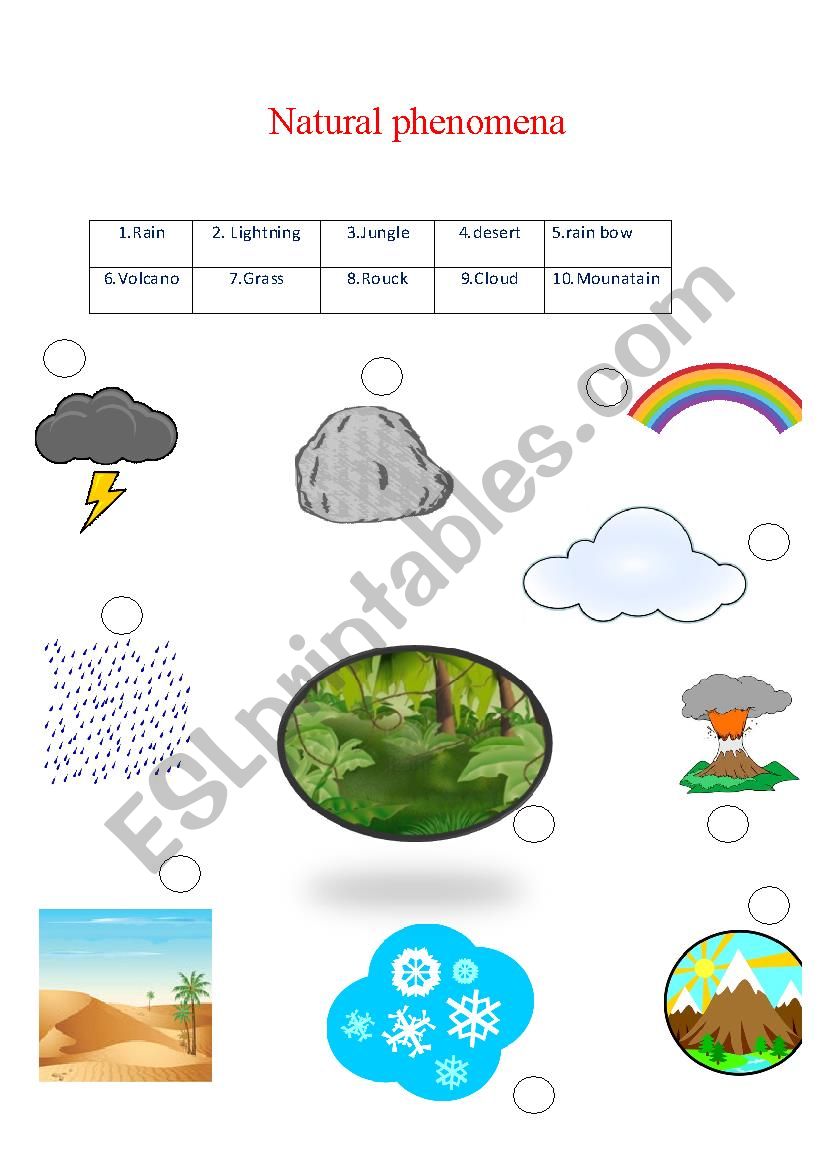 NAture  worksheet