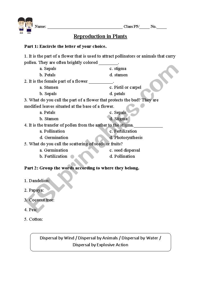 Science Worksheet- The Plants worksheet