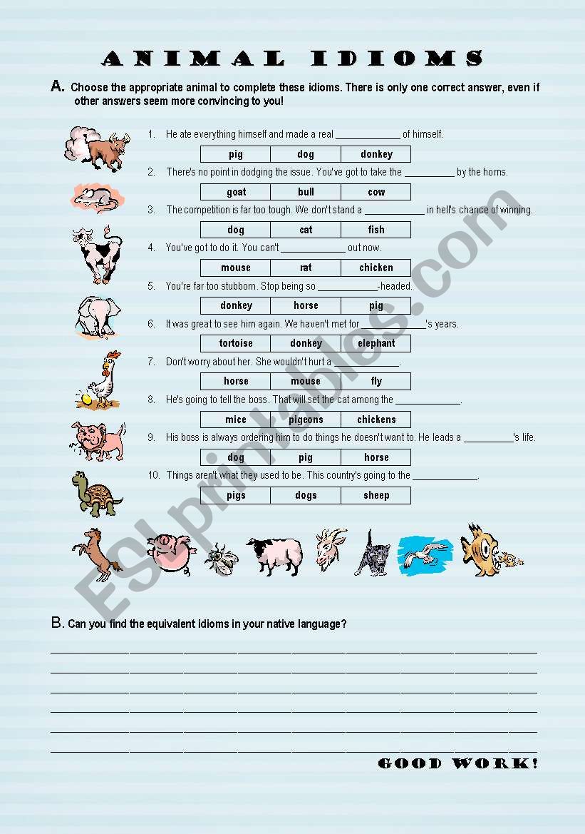 Animal Idioms - worksheet worksheet