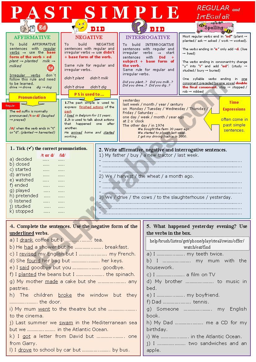 Grammar rules PAST SIMPLE Regular and Irregular