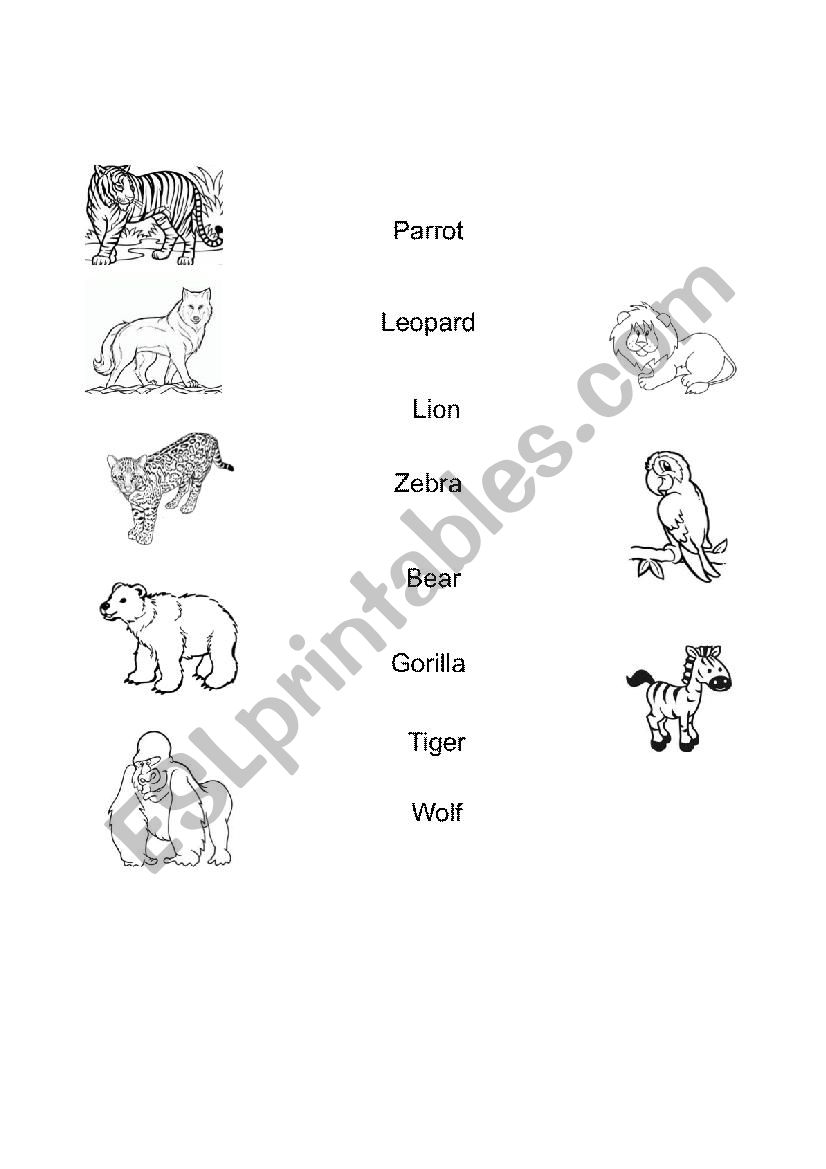 Spelling worksheet