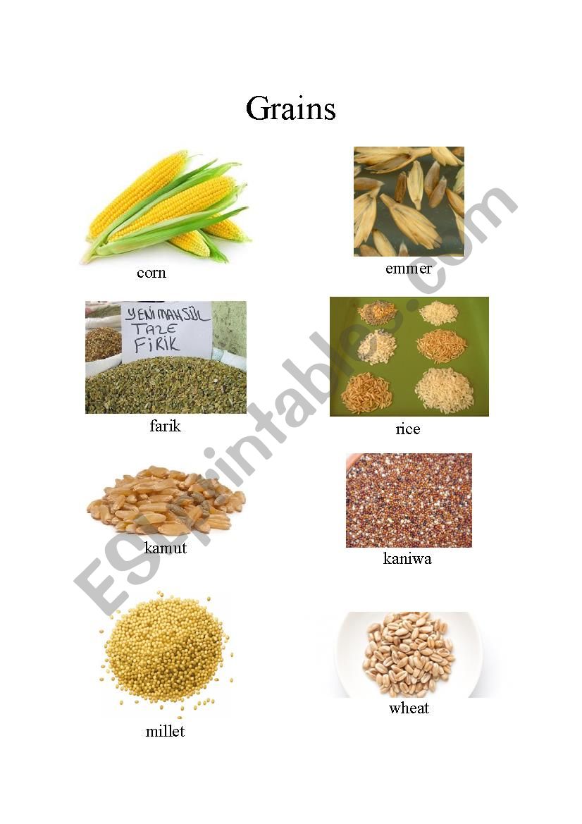 Grains worksheet