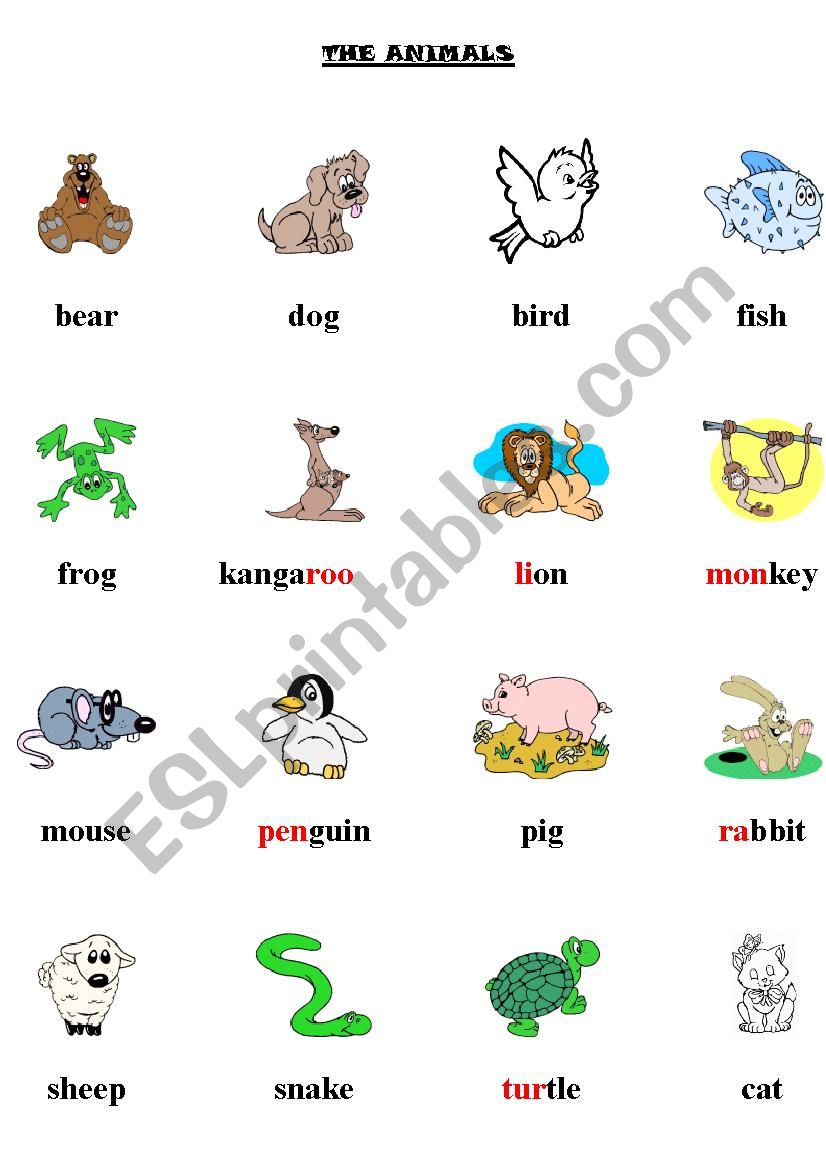 Animals worksheet