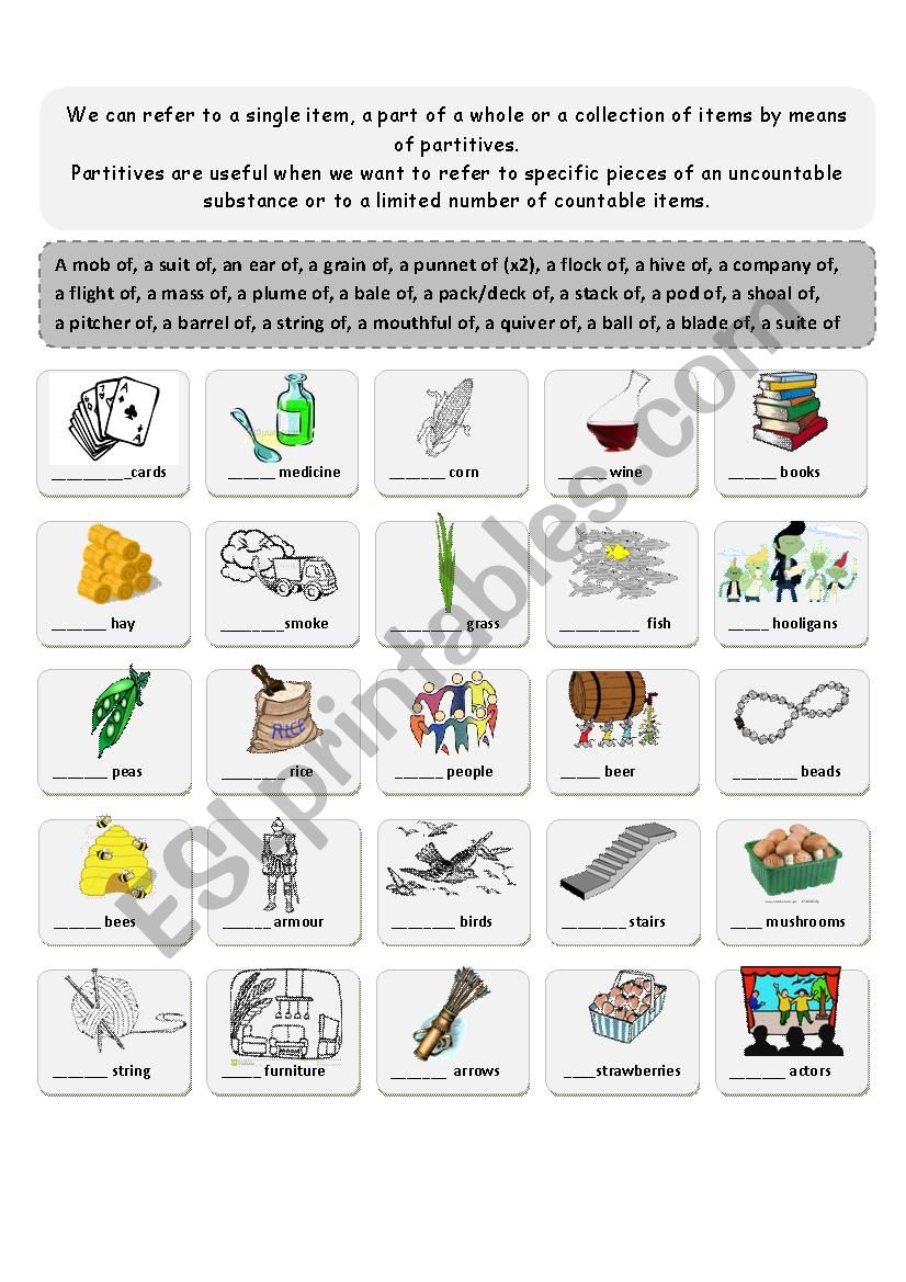 Partitives 2 worksheet