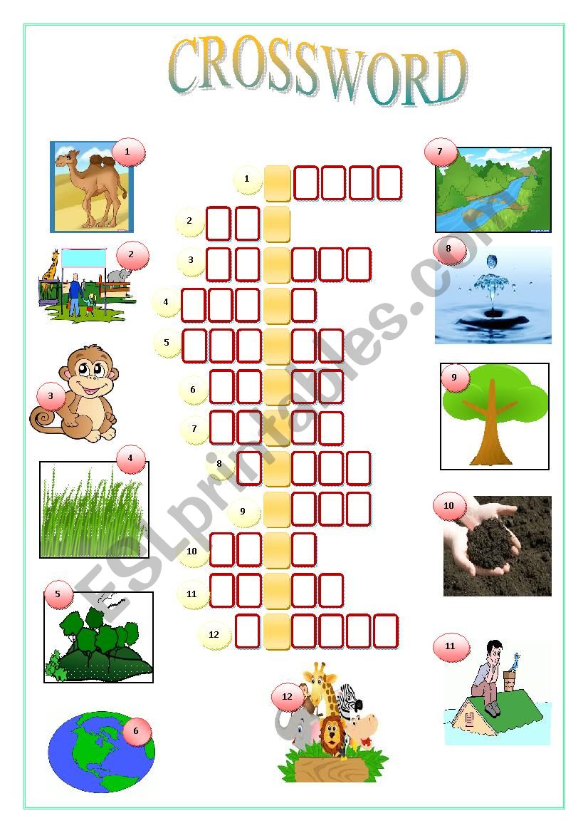 CROSSWORD: CONSERVATION worksheet