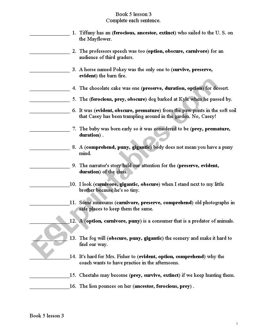 General vocavary worksheet