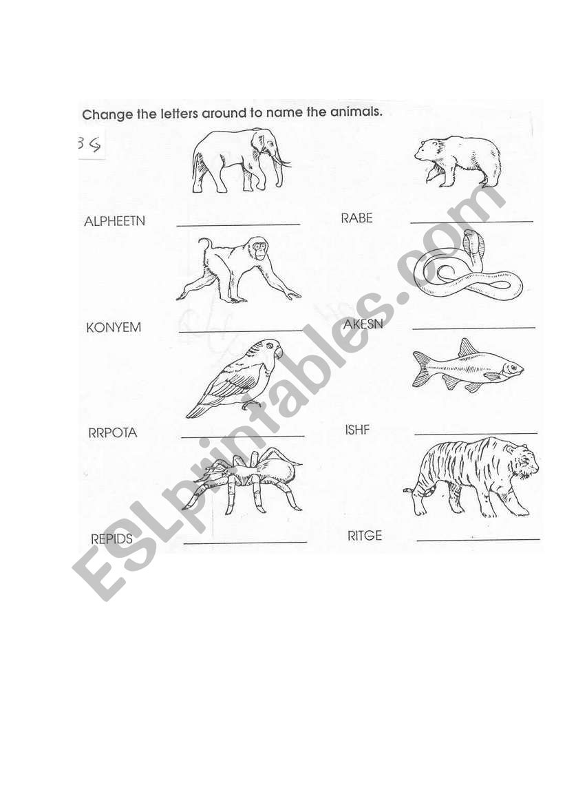 ANIMALS worksheet