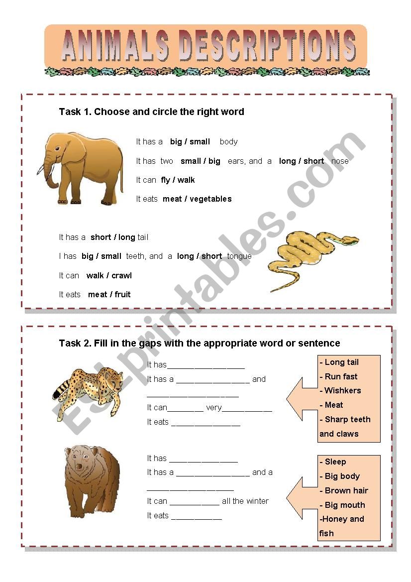 Wild Animals Descriptions worksheet