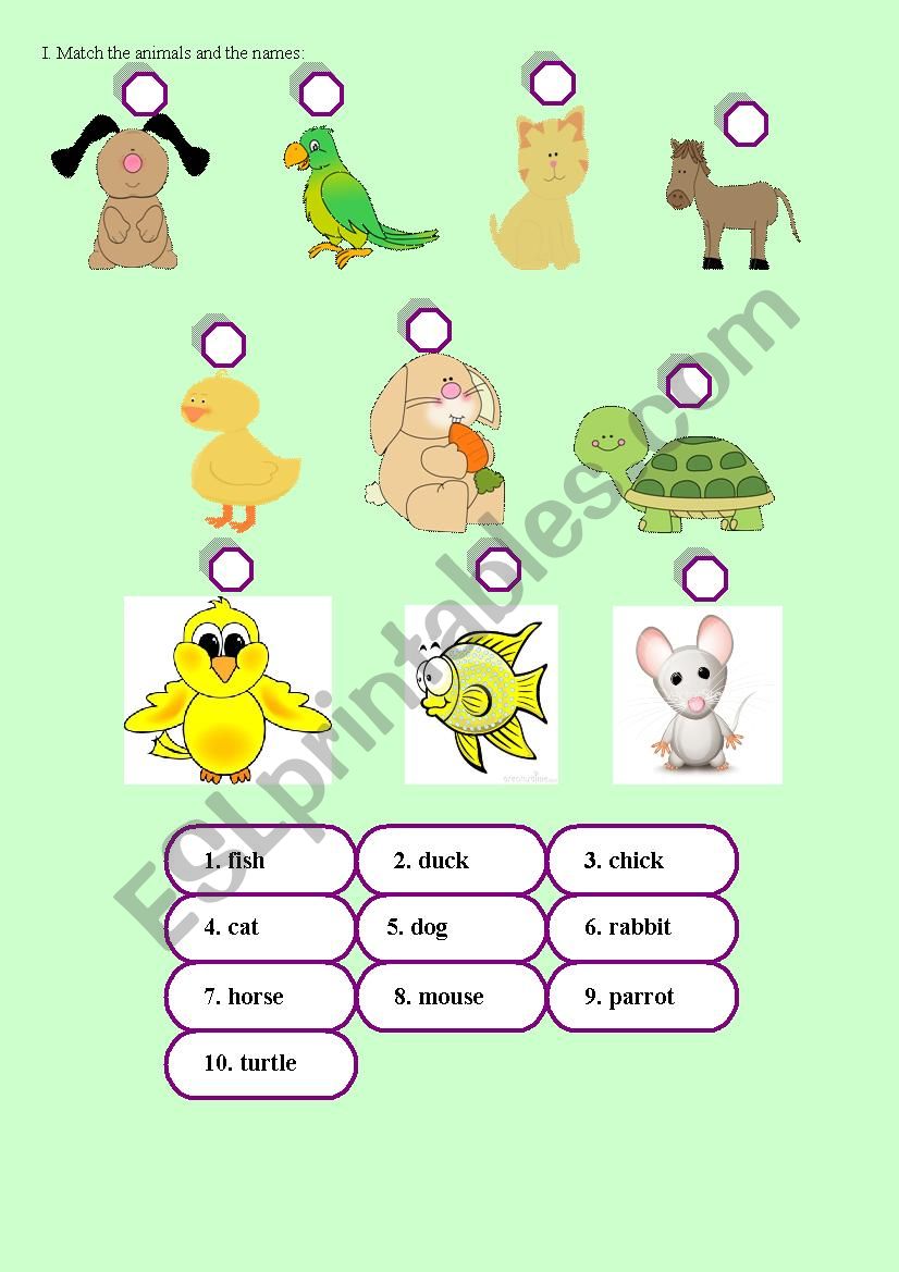 Animals exercise worksheet