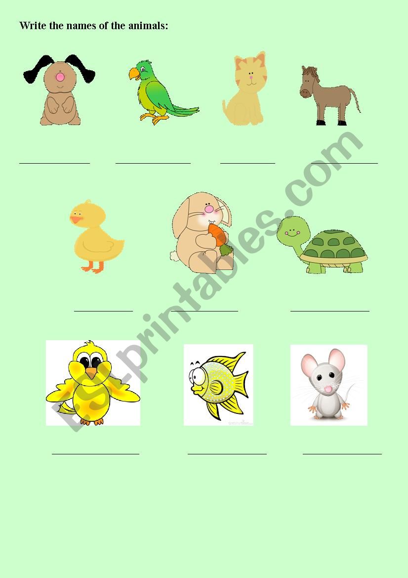 Animals exercise worksheet