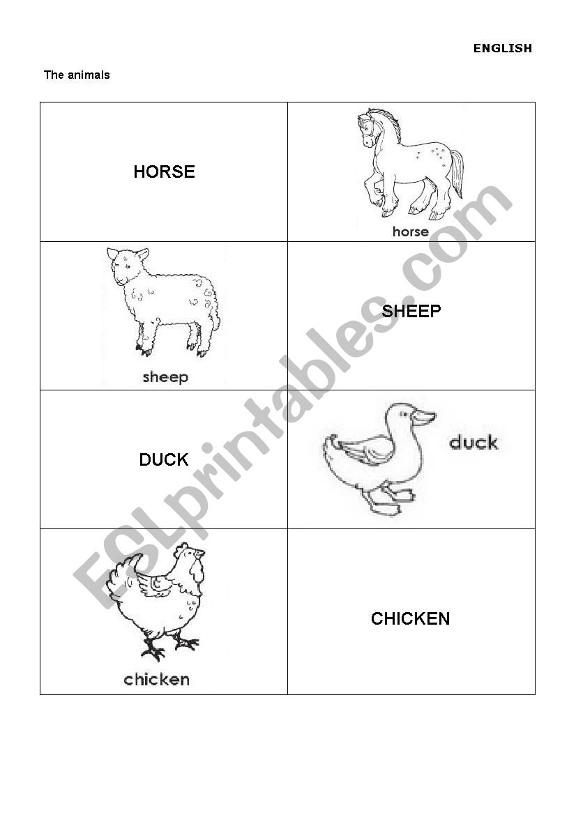 Animals II worksheet