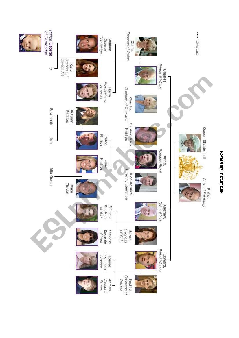 The Royal Baby Family Tree worksheet