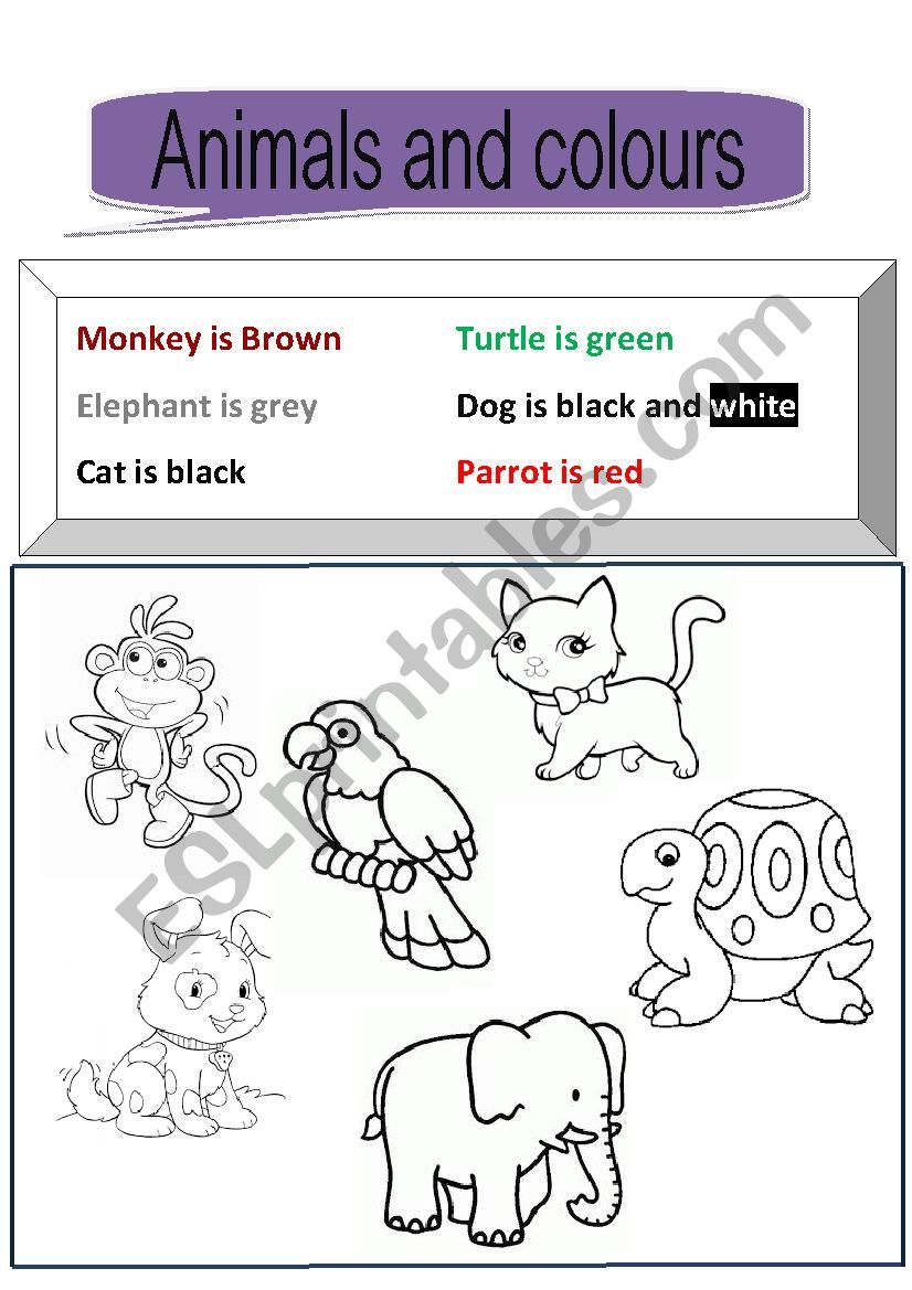 Animals and clours worksheet