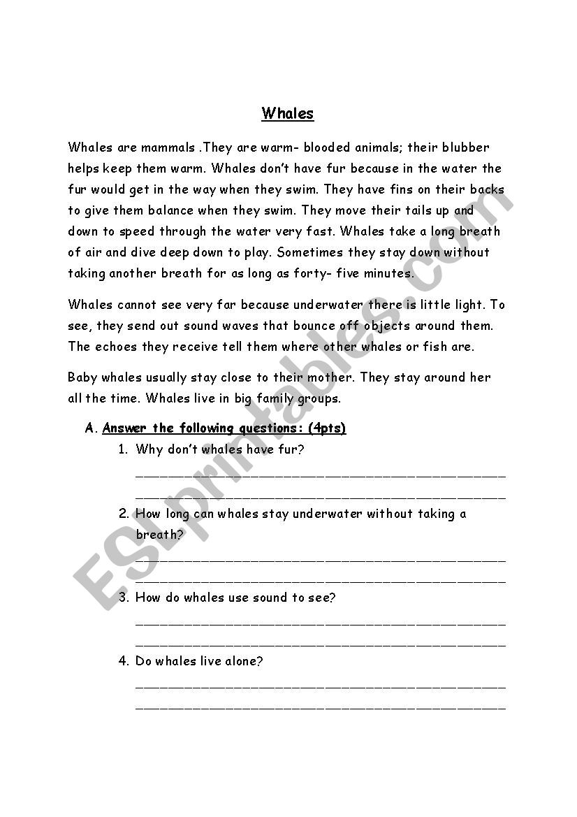 Whales worksheet