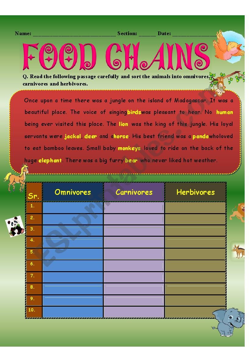 Comprehension about Animals worksheet