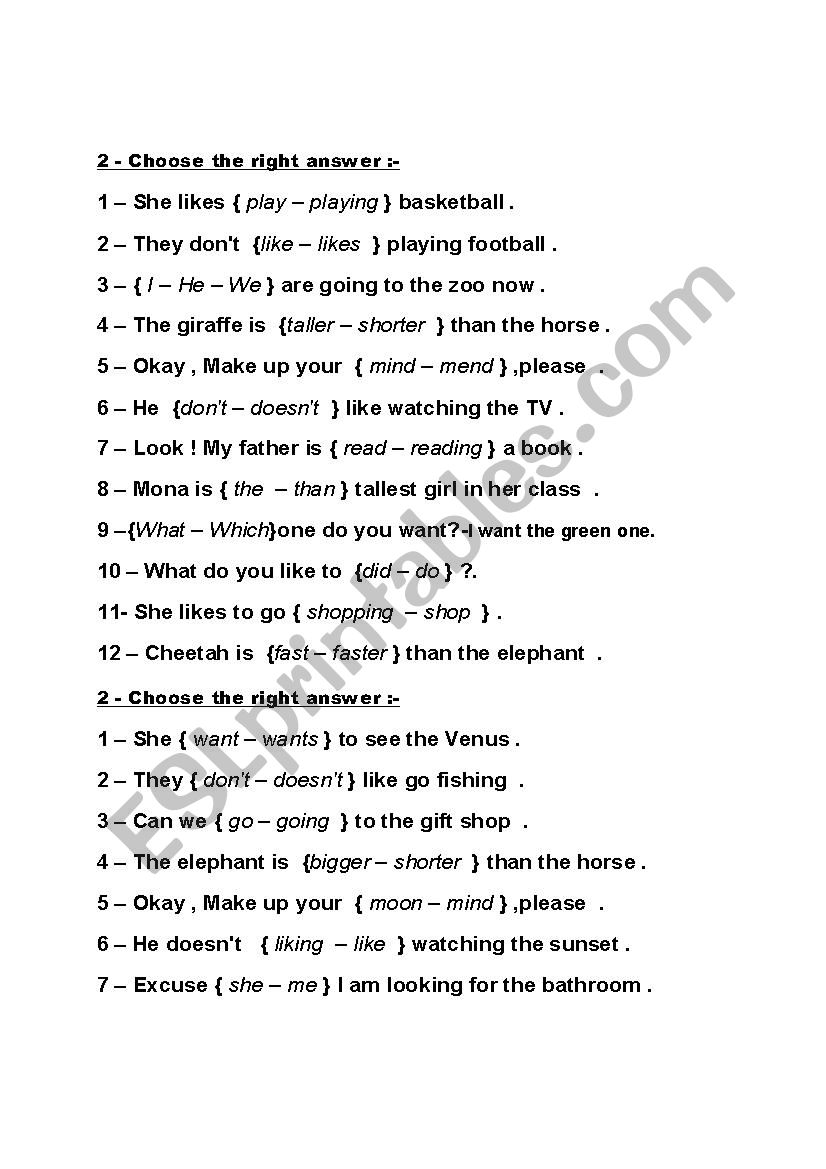 grammar worksheet