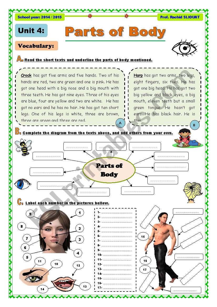 Parts of Body worksheet