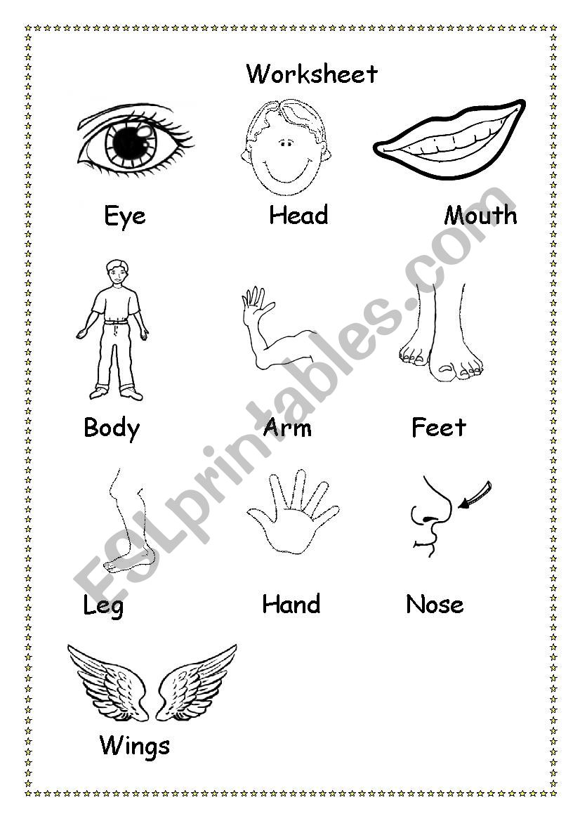 Parts of the body  worksheet