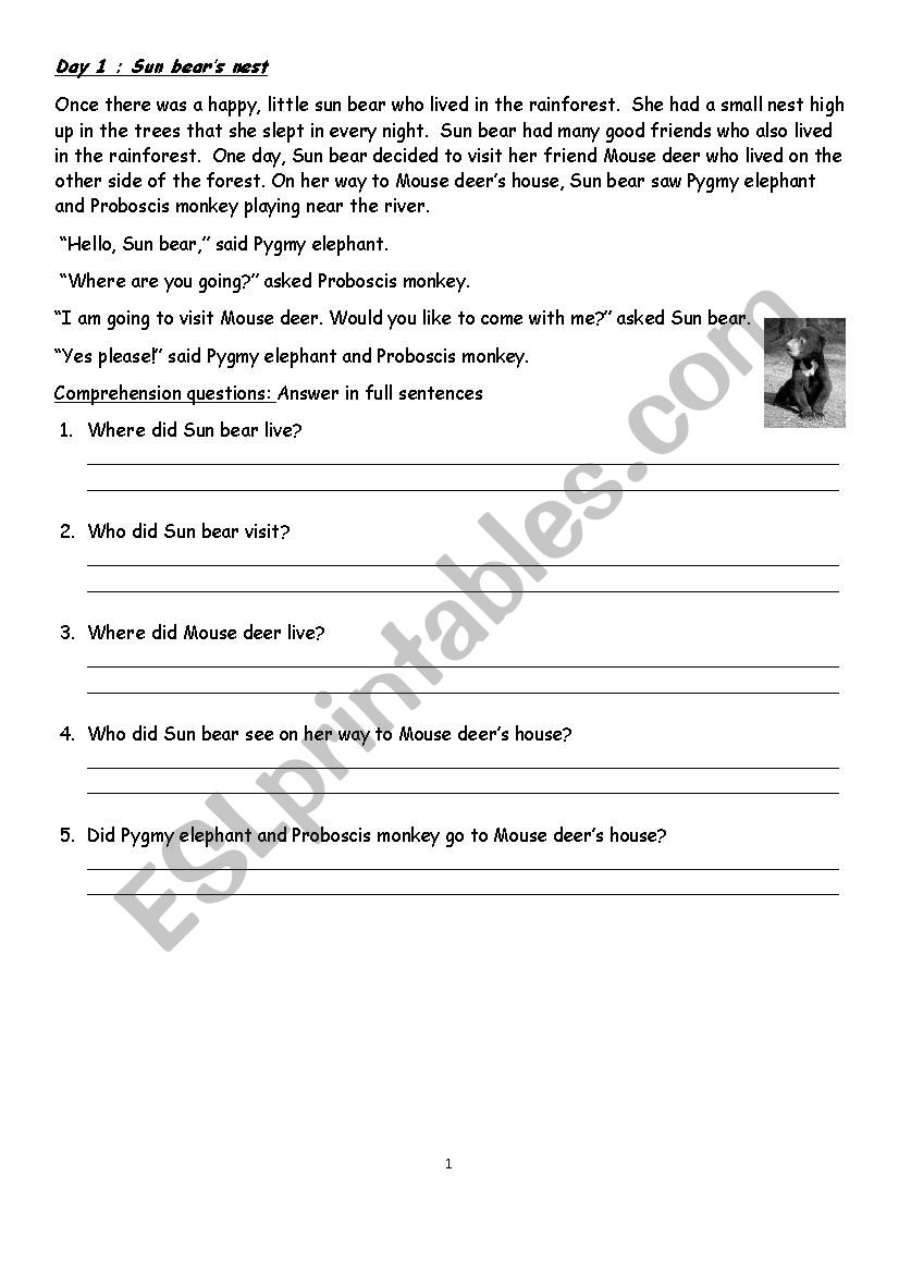 sun bears nest worksheets worksheet