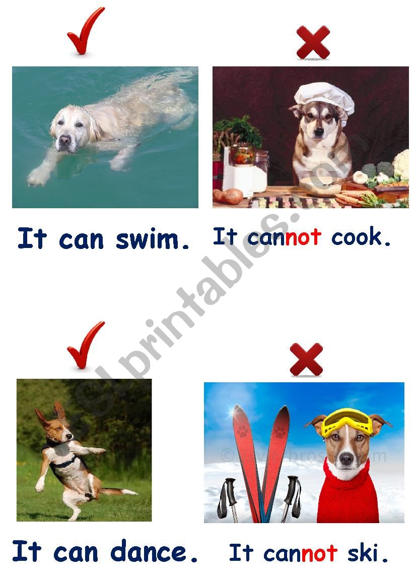 Dogs  can / cant 1 worksheet