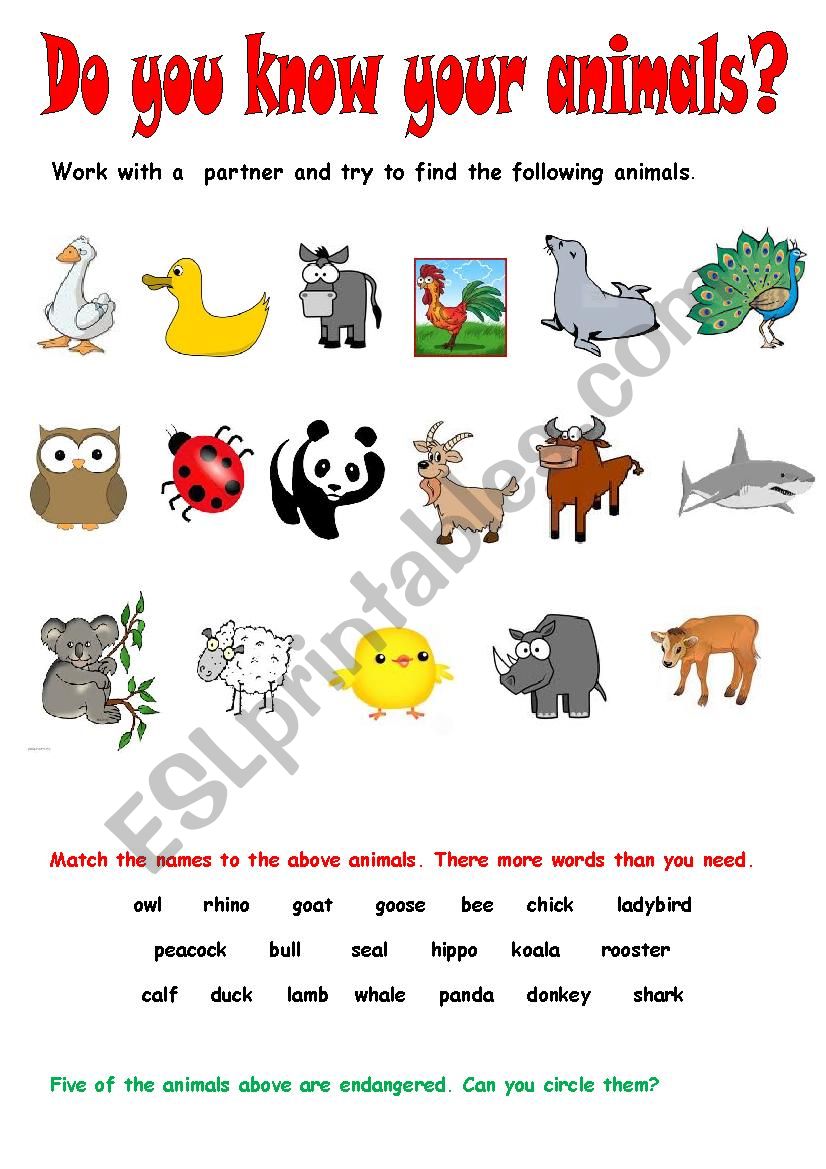 Do you know your animals? - ESL worksheet by Yiotoula