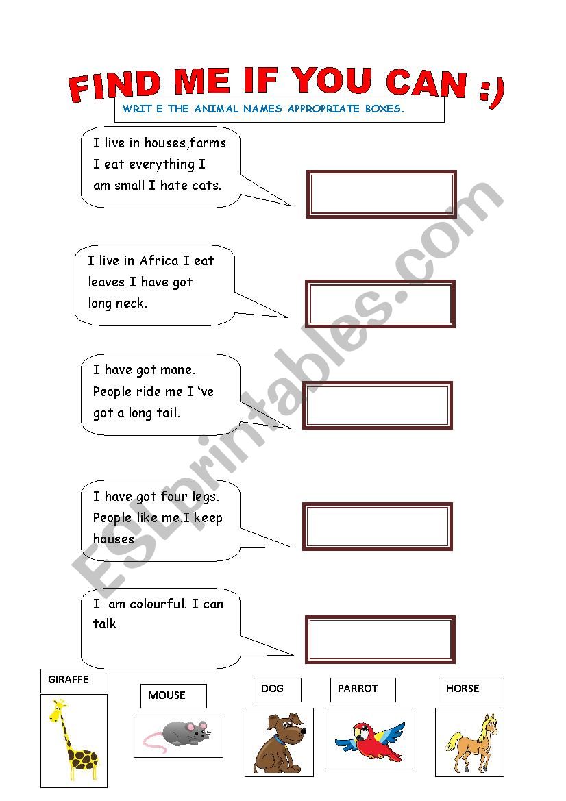 animals worksheet