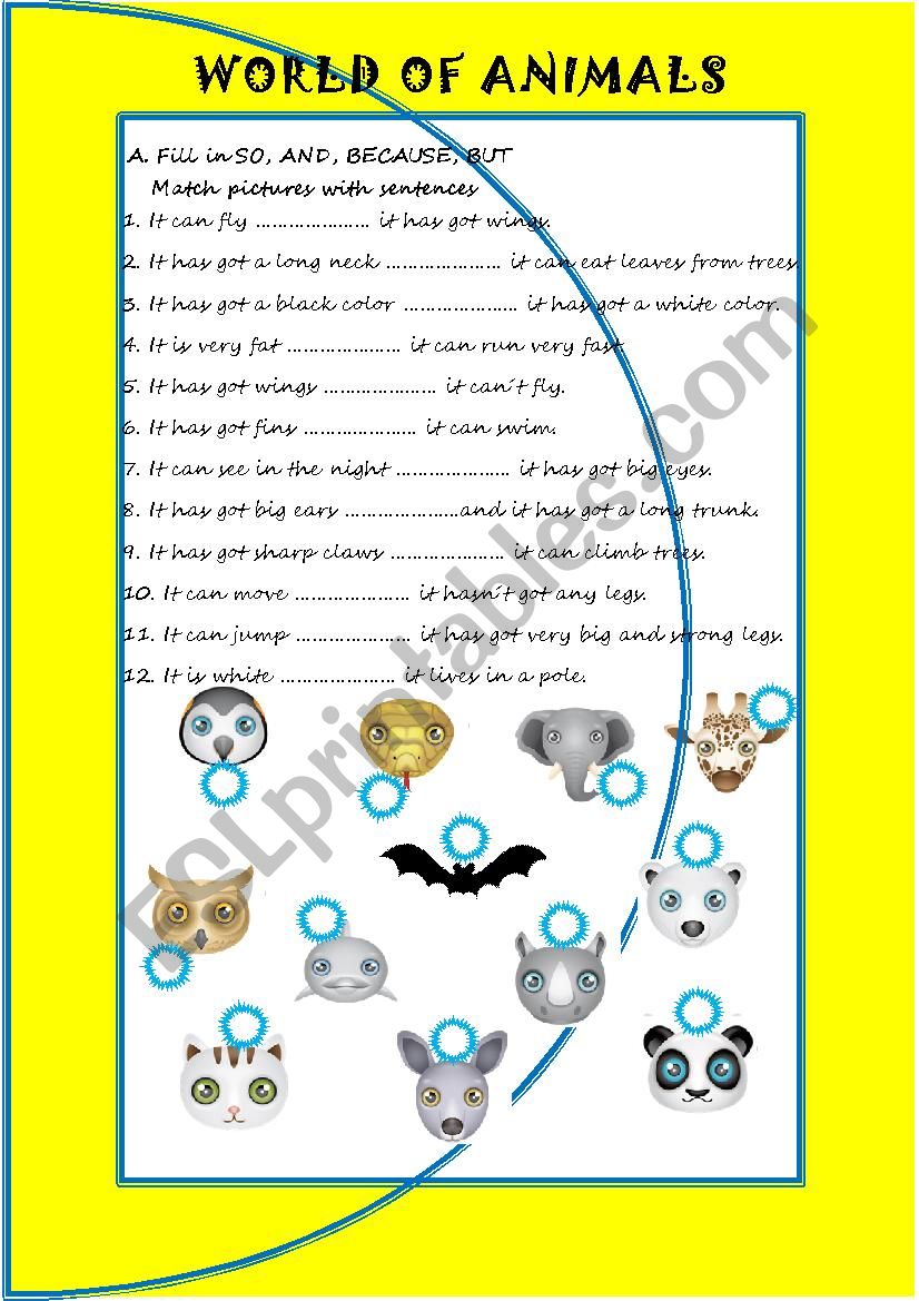 World of animals worksheet