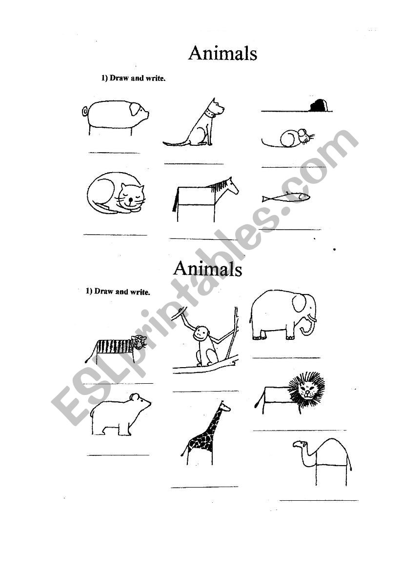 Animals worksheet