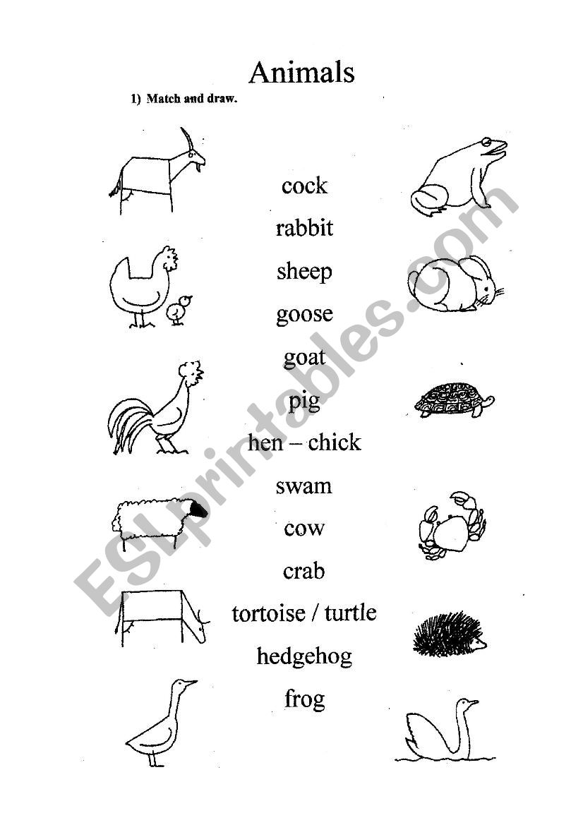 Animals worksheet