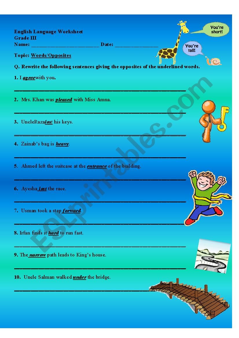 Antonyms OR Opposites worksheet