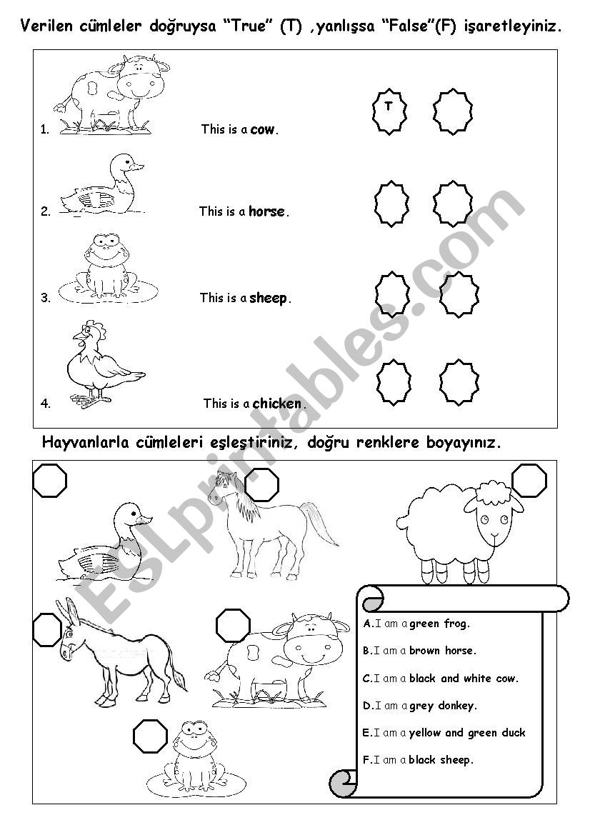 animals- true or false worksheet