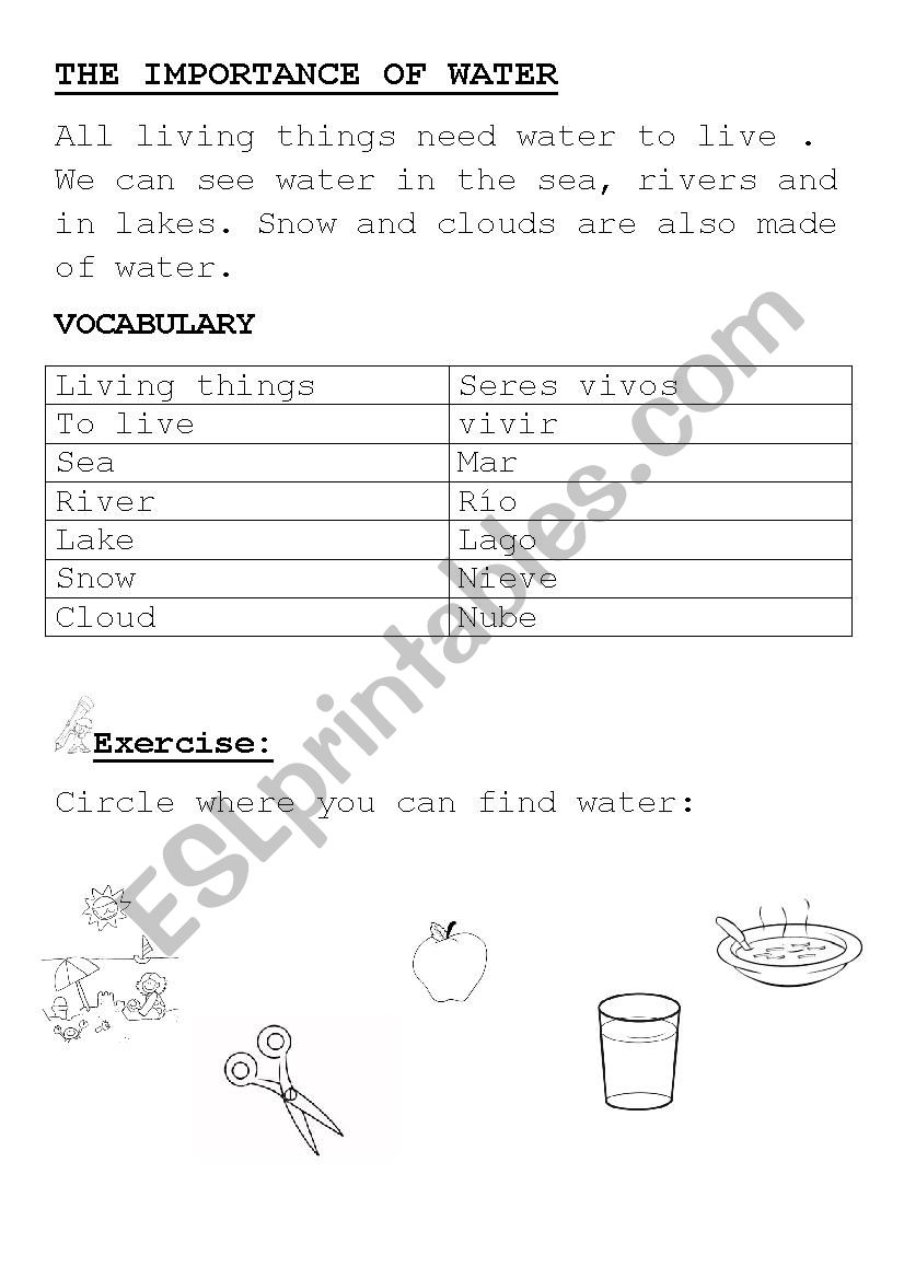 Where can we see water? worksheet